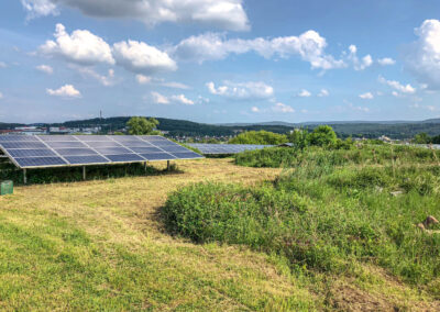 baumfaellung, photovoltaik, wartung, service, solarpark, reinigung, steiger, taubenschutz, winnweiler, rheinland pfalz, pv speicher, pv module, pv, industrie, steffen bank