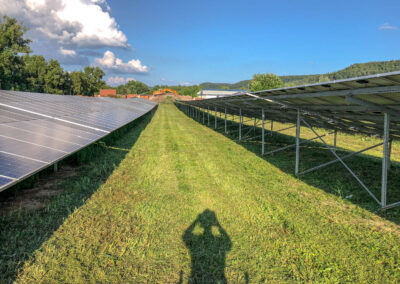 baumfaellung, photovoltaik, wartung, service, solarpark, reinigung, steiger, taubenschutz, winnweiler, rheinland pfalz, pv speicher, pv module, pv, industrie, steffen bank