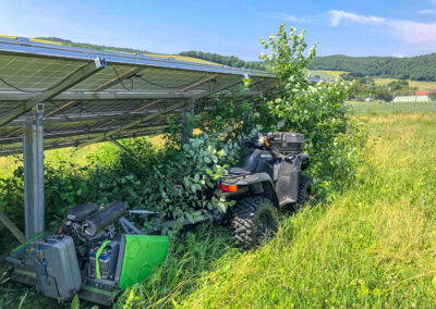 baumfaellung, photovoltaik, wartung, service, solarpark, reinigung, steiger, taubenschutz, winnweiler, rheinland pfalz, pv speicher, pv module, pv, industrie, steffen bank