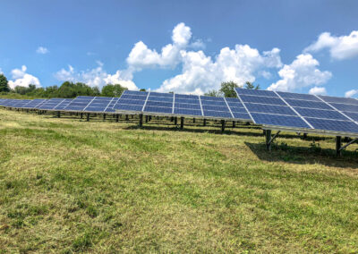 baumfaellung, photovoltaik, wartung, service, solarpark, reinigung, steiger, taubenschutz, winnweiler, rheinland pfalz, pv speicher, pv module, pv, industrie, steffen bank