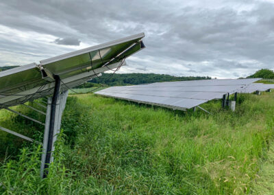 baumfaellung, photovoltaik, wartung, service, solarpark, reinigung, steiger, taubenschutz, winnweiler, rheinland pfalz, pv speicher, pv module, pv, industrie, steffen bank