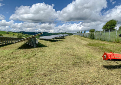 baumfaellung, photovoltaik, wartung, service, solarpark, reinigung, steiger, taubenschutz, winnweiler, rheinland pfalz, pv speicher, pv module, pv, industrie, steffen bank