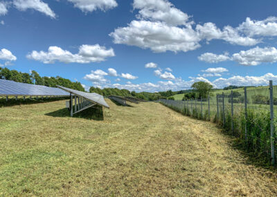 baumfaellung, photovoltaik, wartung, service, solarpark, reinigung, steiger, taubenschutz, winnweiler, rheinland pfalz, pv speicher, pv module, pv, industrie, steffen bank